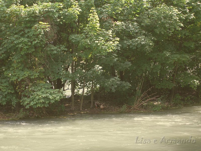 valeggio sul mincio12.JPG